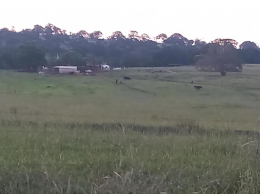 Foto ilustrativa 6 - Ituiutaba/MG – Imóvel Rural com 38ha