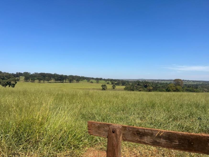 Foto ilustrativa 3 - Ituiutaba/MG – Imóvel Rural com 38ha