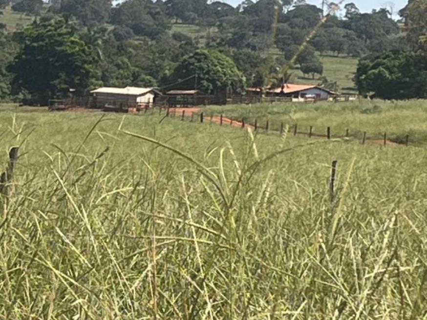 Foto ilustrativa 1 - Ituiutaba/MG – Imóvel Rural com 38ha
