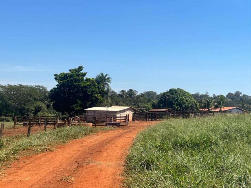 Foto ilustrativa 5 - Ituiutaba/MG – Imóvel Rural com 38ha
