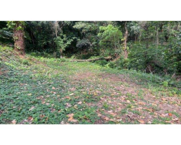 Terreno no Itanhangá em Rio de Janeiro/RJ — foto 1