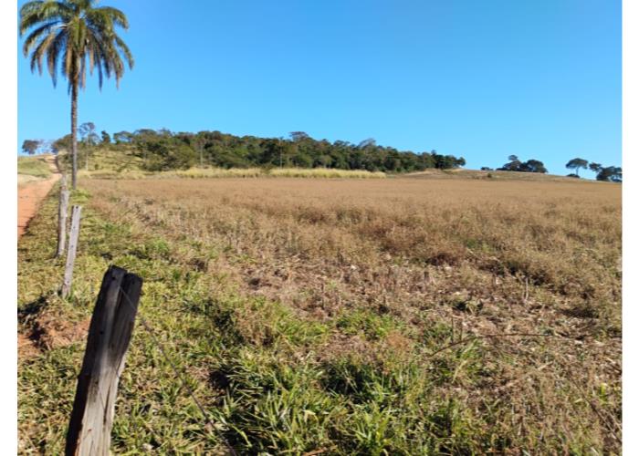 Município de Serra do Salitre/MG - Capim Novo - Rural com área de 36 há Leilão Sicoob