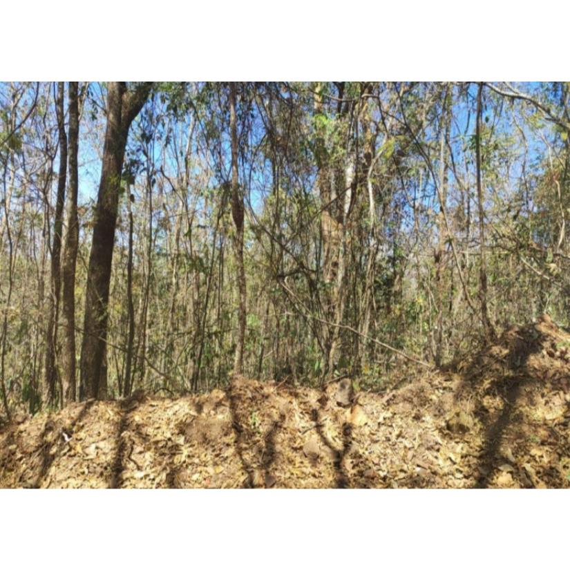 Foto de Patrocínio/MG - Imóvel Rural com 4,73ha