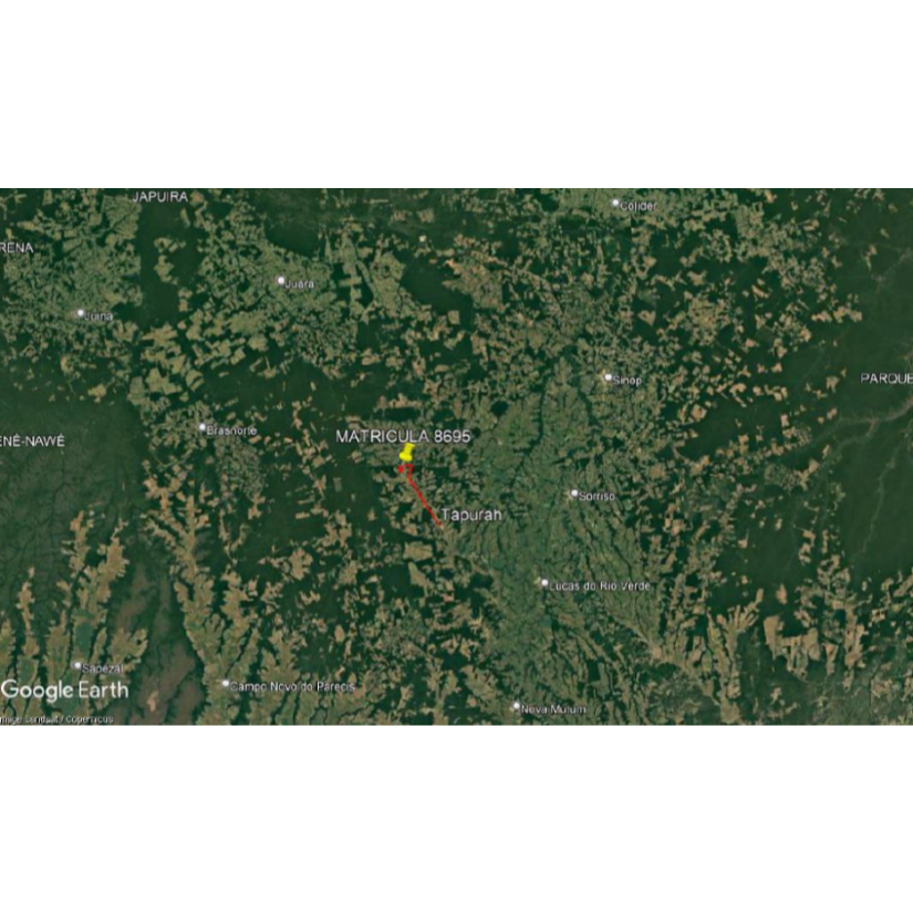 Foto de Tapurah/MT - Fazenda com 489ha