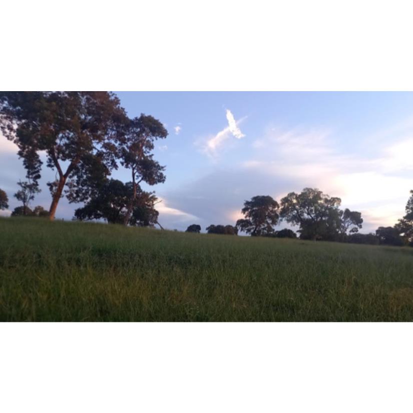 Foto de Ituiutaba/MG - Imóvel Rural com 38ha