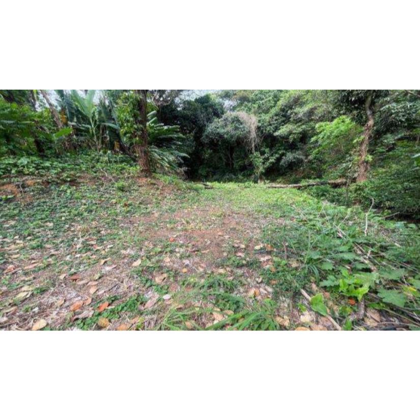 Foto de Rio de Janeiro/RJ - Itanhanga - Terreno com 994m²