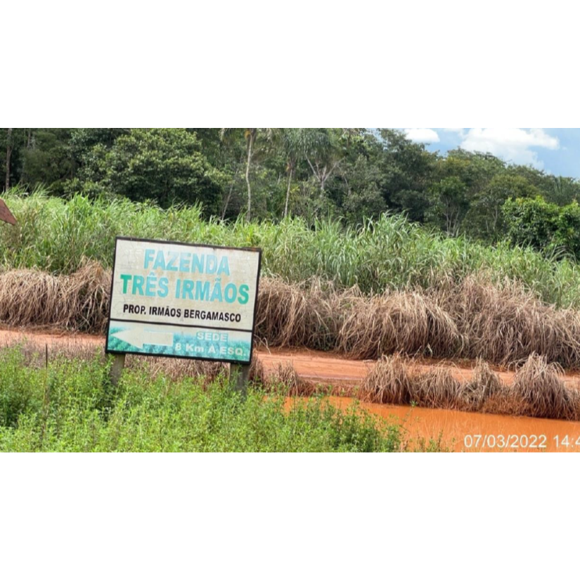 Foto de Tapurah/MT - Fazenda com 489ha