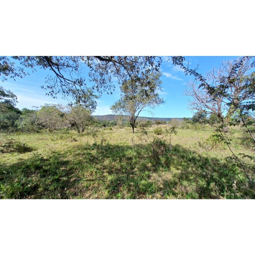 Foto de Ituiutaba/MG - Gurinhatã - Imóvel Rural com 17-04-26ha