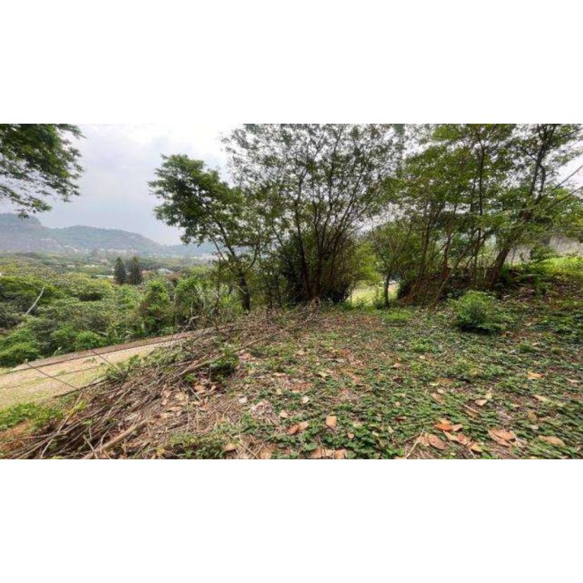 Foto de Rio de Janeiro/RJ - Itanhanga - Terreno com 994m²