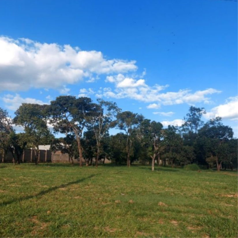 Foto de Uberaba/MG - Jardim Jockey Club – Terreno com 1.809m²