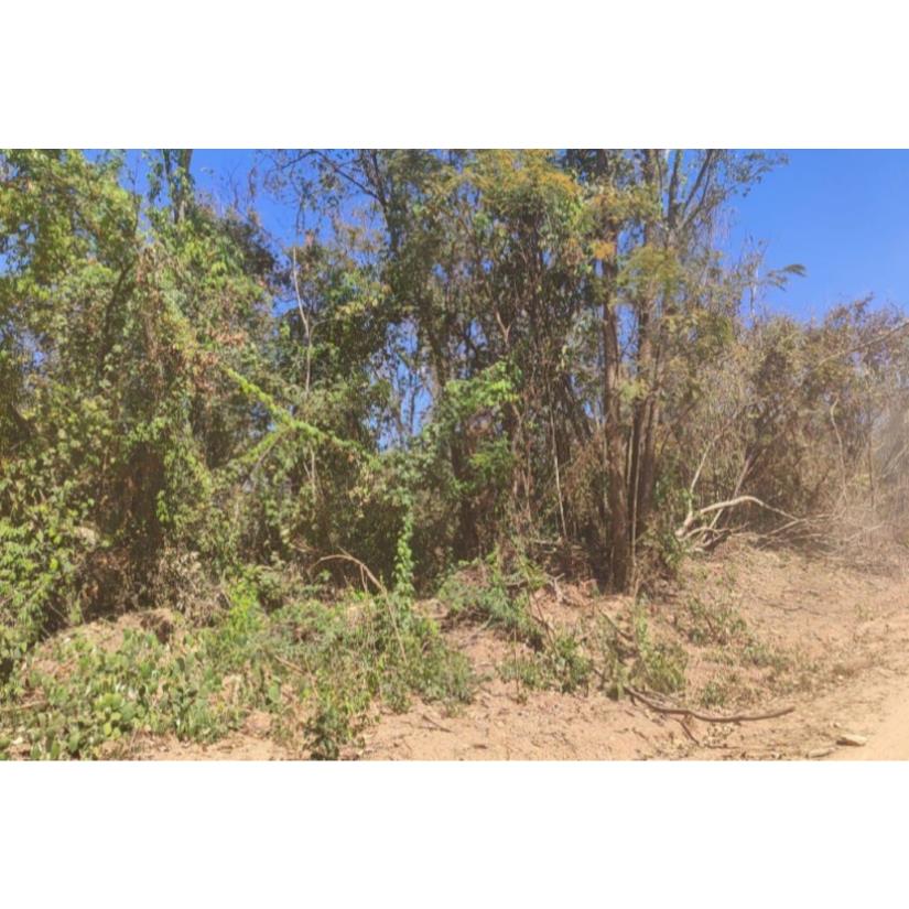 Foto de Patrocínio/MG - Imóvel Rural com 4,73ha