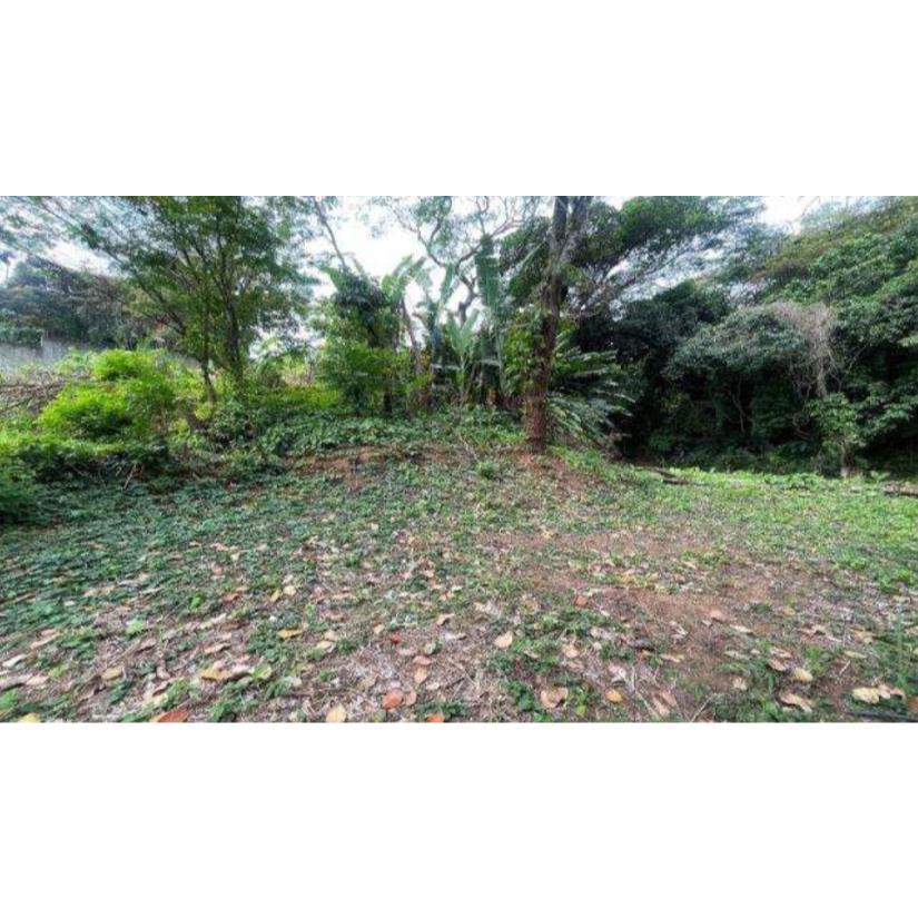 Foto de Rio de Janeiro/RJ - Itanhanga - Terreno com 994m²