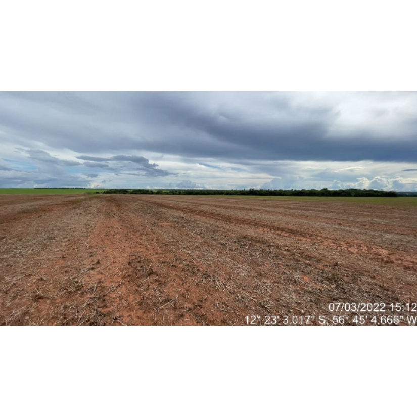 Foto de Tapurah/MT - Fazenda com 489ha