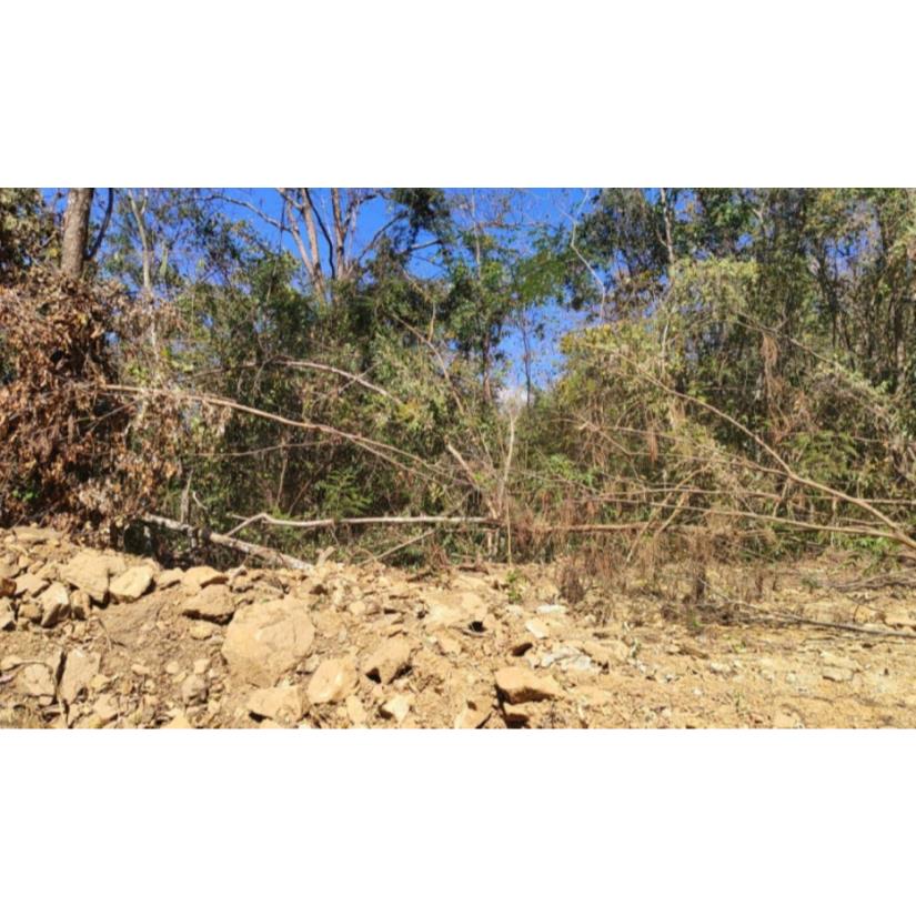 Foto de Patrocínio/MG - Imóvel Rural com 4,73ha