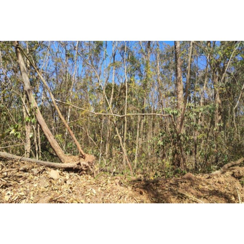 Foto de Patrocínio/MG - Imóvel Rural com 4,73ha