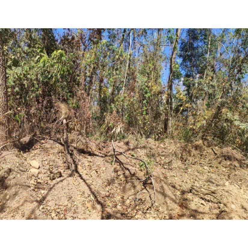 Foto de Patrocínio/MG - Imóvel Rural com 4,73ha