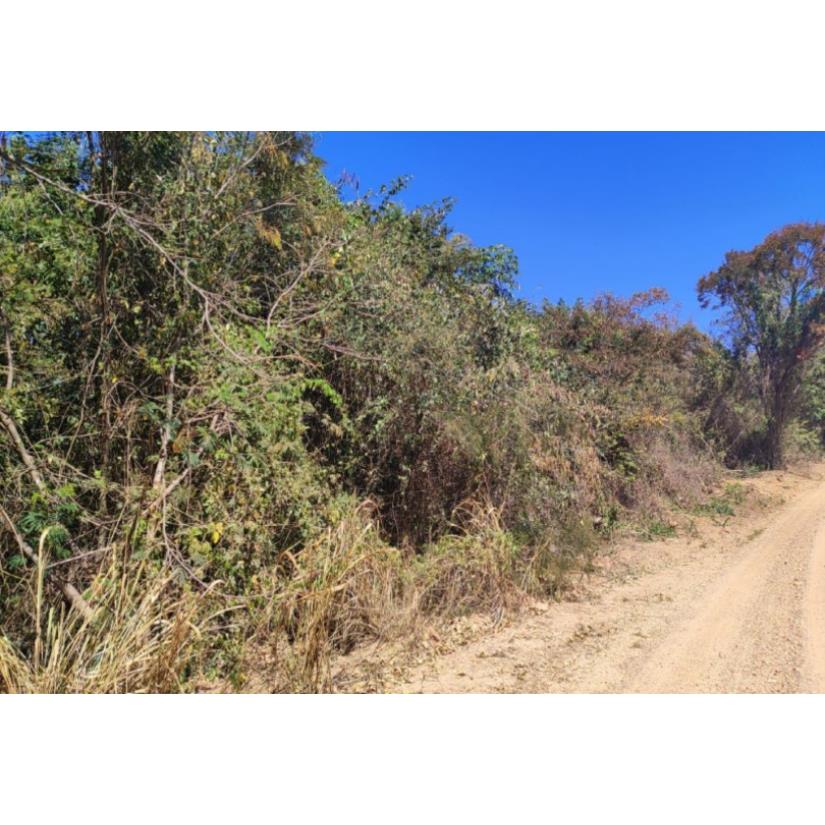 Foto de Patrocínio/MG - Imóvel Rural com 4,73ha