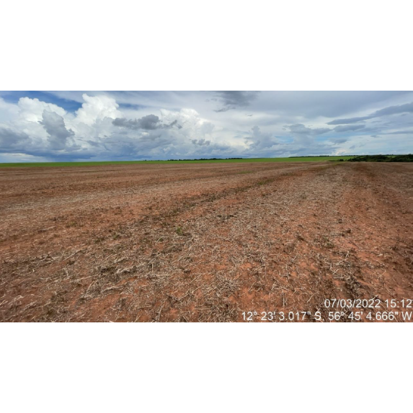 Foto de Tapurah/MT - Fazenda com 489ha