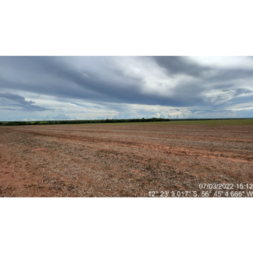 Foto de Tapurah/MT - Fazenda com 489ha