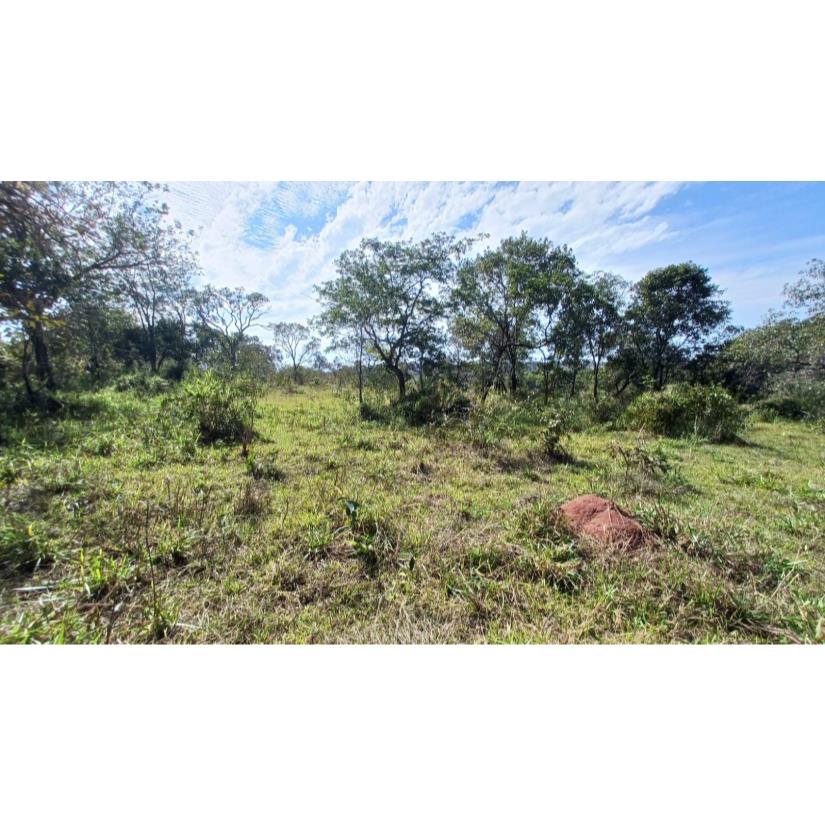 Foto de Ituiutaba/MG - Gurinhatã - Imóvel Rural com 17-04-26ha