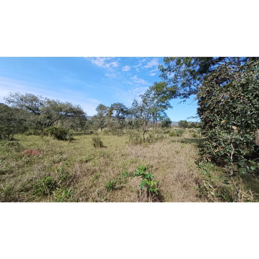 Foto de Ituiutaba/MG - Gurinhatã - Imóvel Rural com 17-04-26ha