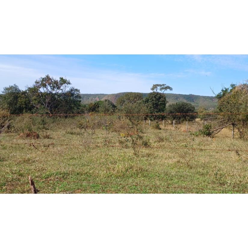 Foto de Ituiutaba/MG - Gurinhatã - Imóvel Rural com 17-04-26ha