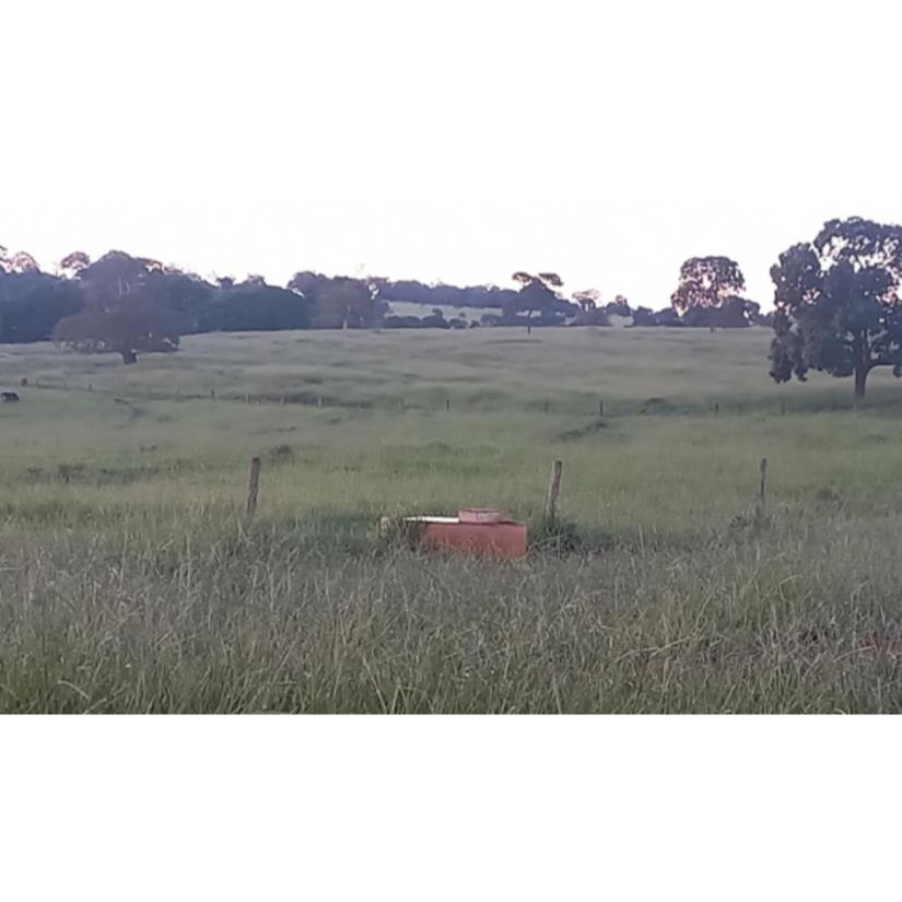 Foto de Ituiutaba/MG - Imóvel Rural com 38ha
