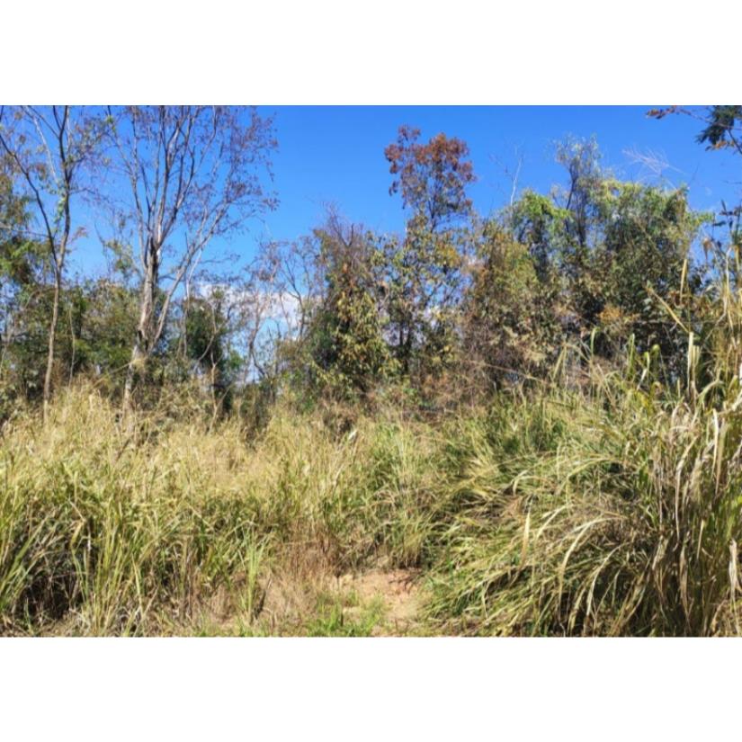 Foto de Patrocínio/MG - Imóvel Rural com 4,73ha