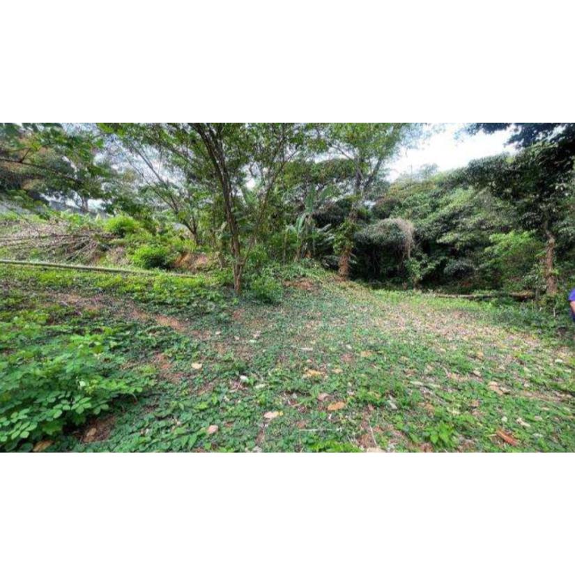 Foto de Rio de Janeiro/RJ - Itanhanga - Terreno com 994m²