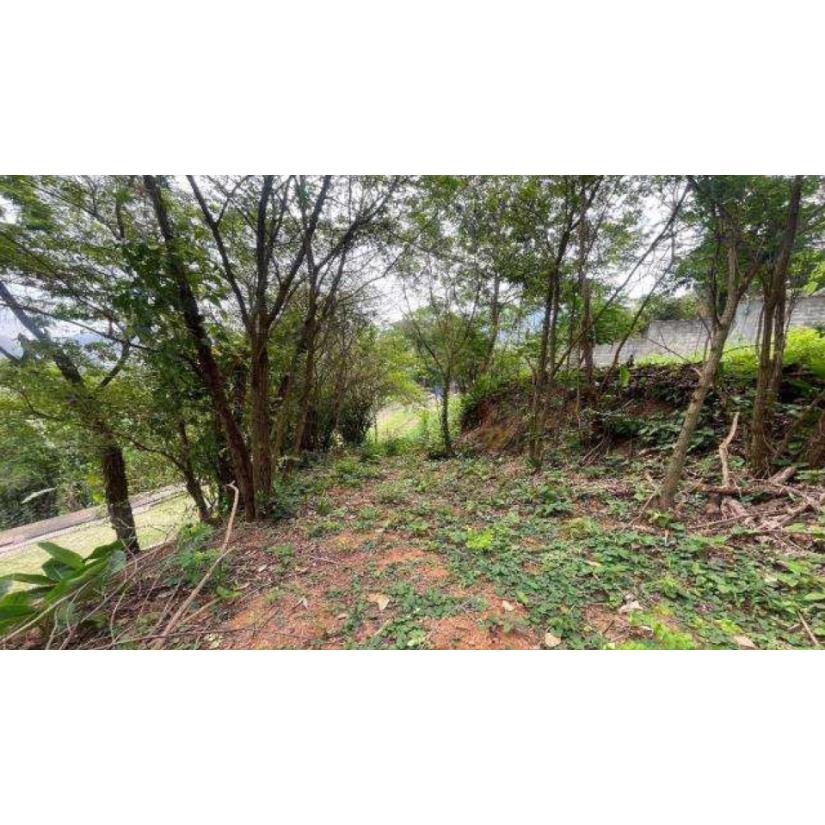 Foto de Rio de Janeiro/RJ - Itanhanga - Terreno com 994m²