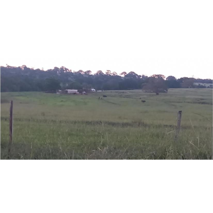 Foto de Ituiutaba/MG - Imóvel Rural com 38ha