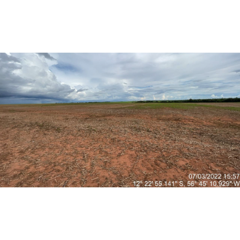 Foto de Tapurah/MT - Fazenda com 489ha