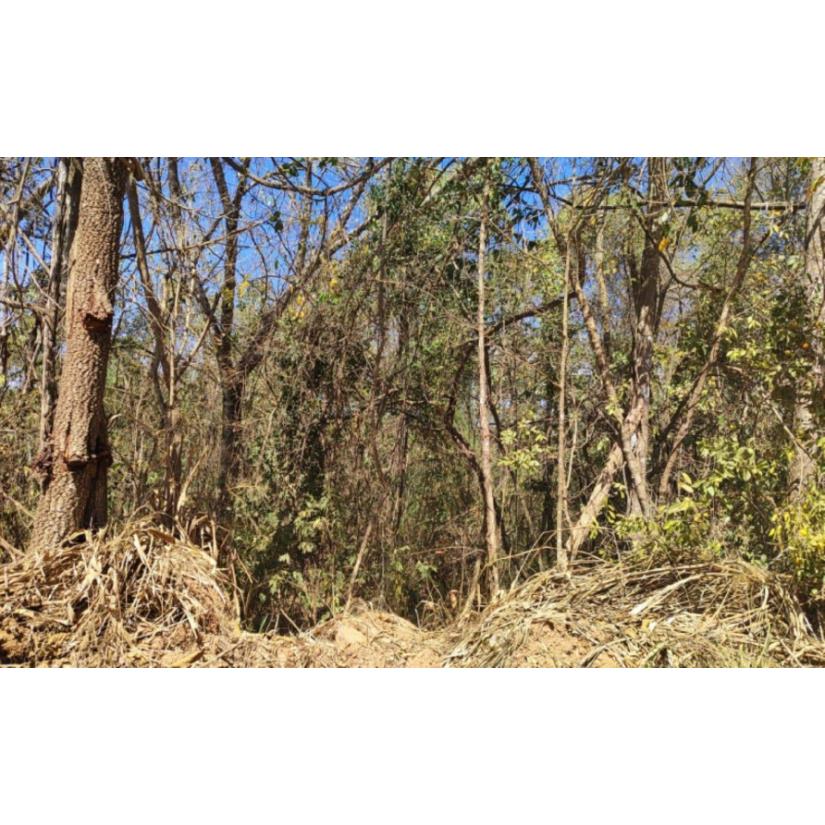 Foto de Patrocínio/MG - Imóvel Rural com 4,73ha