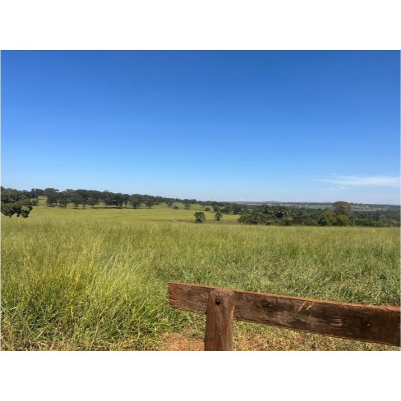 Foto de Ituiutaba/MG - Imóvel Rural com 38ha