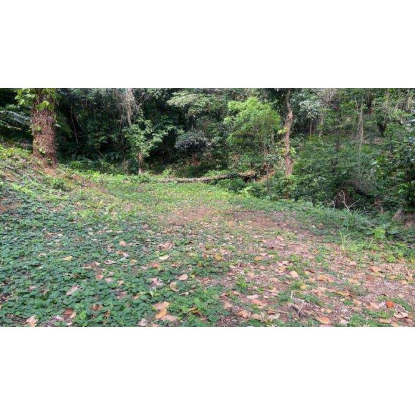 Foto de Rio de Janeiro/RJ - Itanhanga - Terreno com 994m²