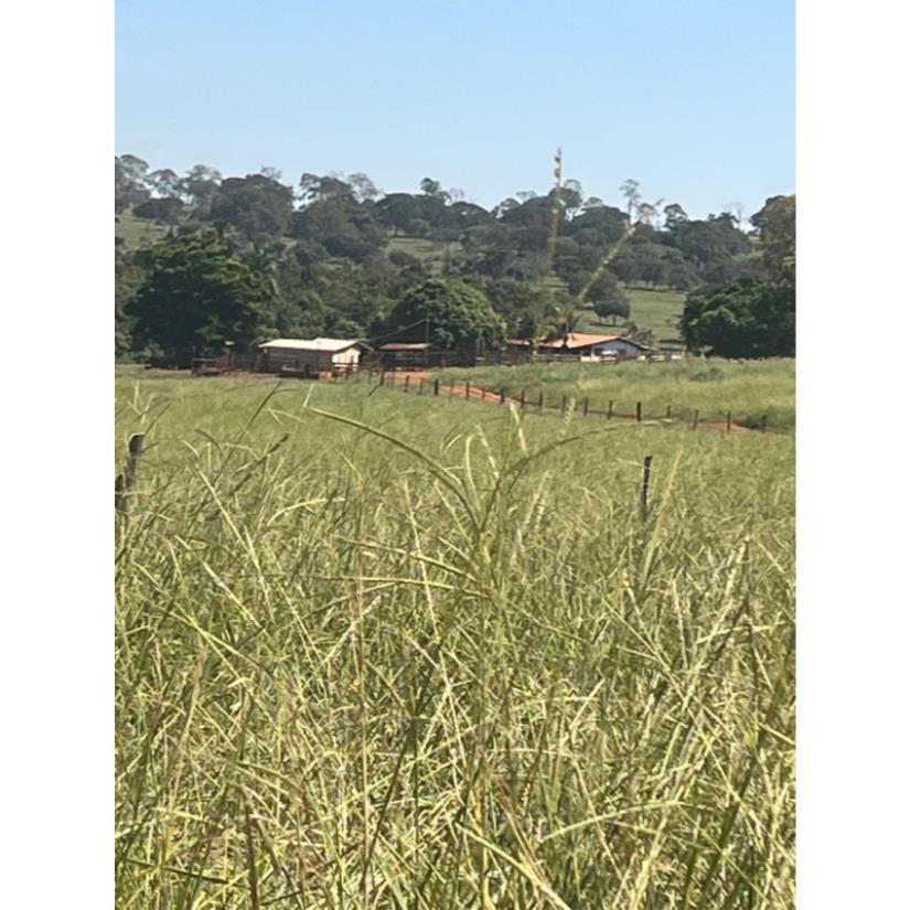 Foto de Ituiutaba/MG - Imóvel Rural com 38ha