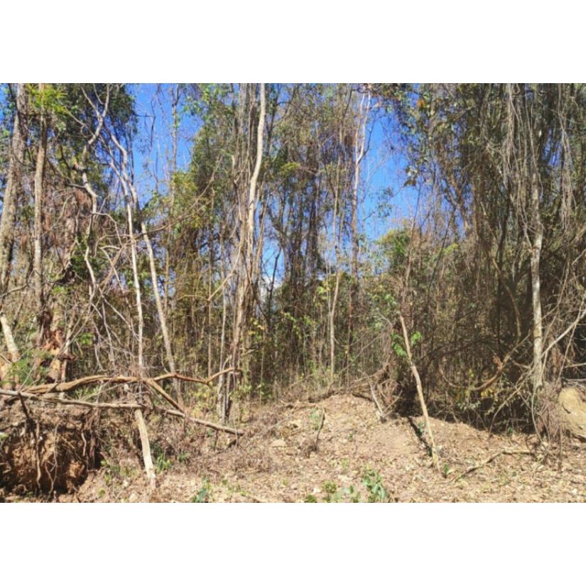 Foto de Patrocínio/MG - Imóvel Rural com 4,73ha
