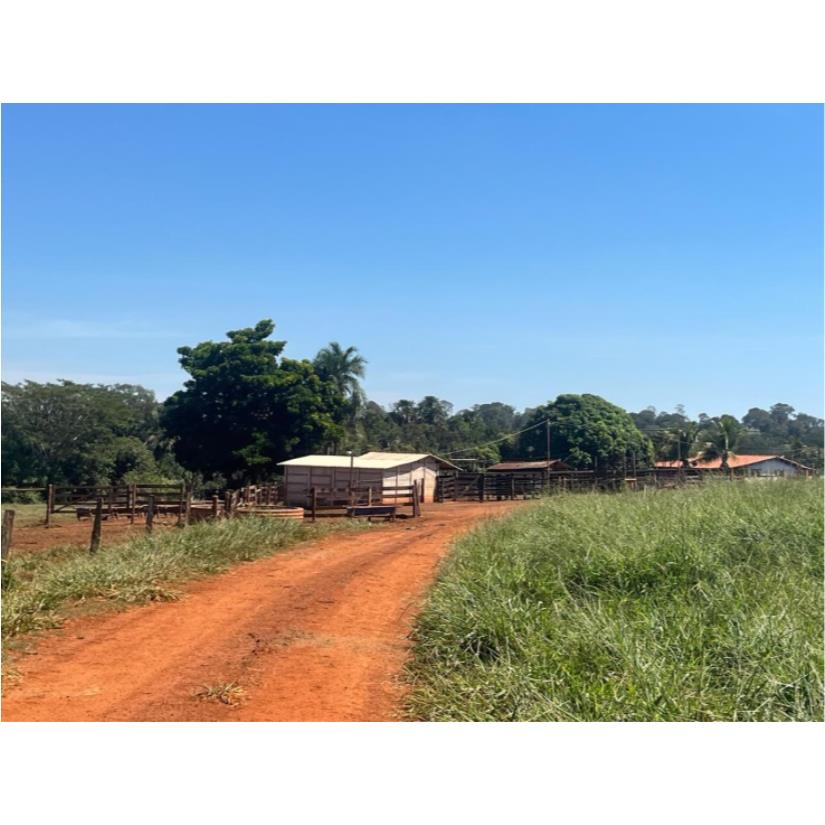 Foto de Ituiutaba/MG - Imóvel Rural com 38ha