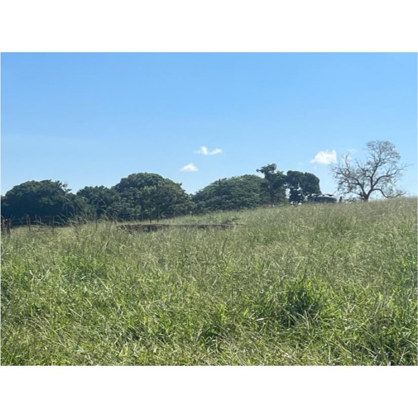 Foto de Ituiutaba/MG - Imóvel Rural com 38ha