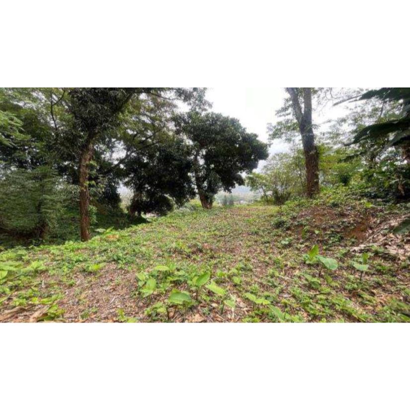 Foto de Rio de Janeiro/RJ - Itanhanga - Terreno com 994m²