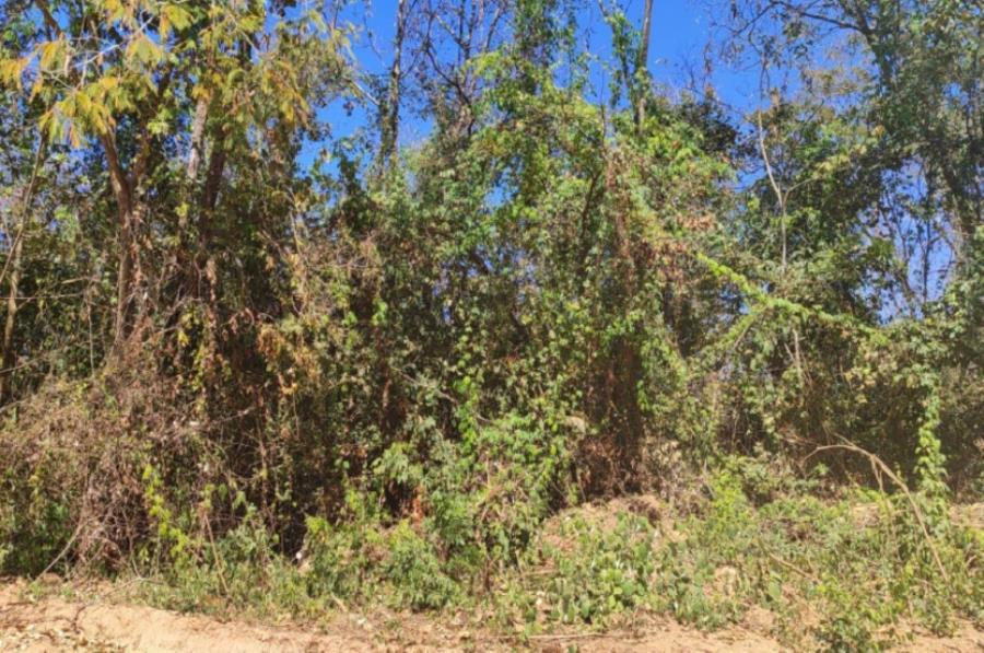Patrocínio/MG - Imóvel Rural com 4,73ha