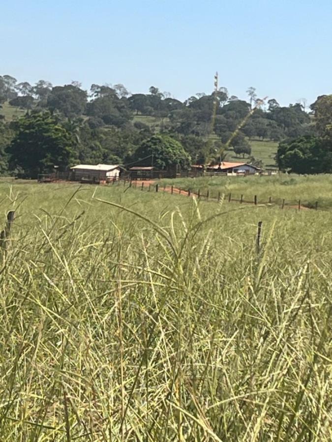 Ituiutaba/MG - Imóvel Rural com 38ha