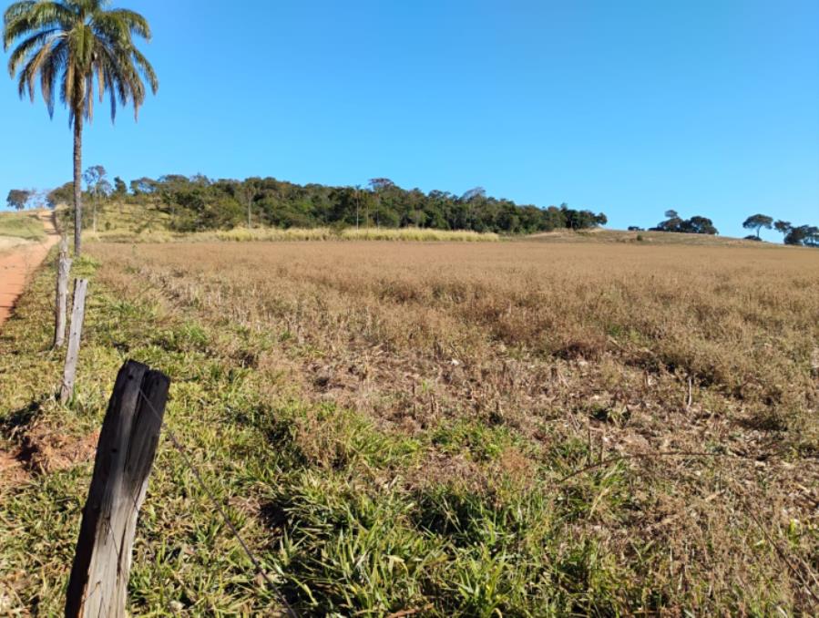 Município de Serra do Salitre/MG - Capim Novo - Rural com área de 36 há Leilão Sicoob, localizado em Serra Do Salitre - MG