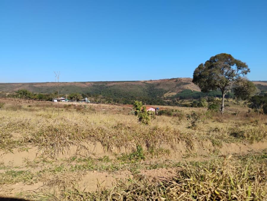 Município de Serra do Salitre/MG - Capim Novo - Rural com área de 36 há Leilão Sicoob, localizado em Serra Do Salitre - MG