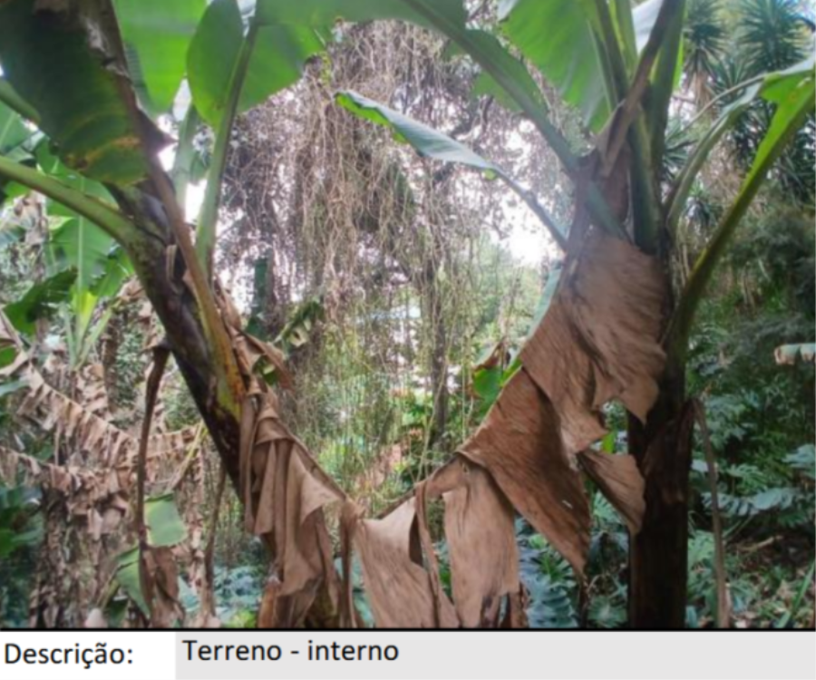 Cotia/SP - Granja Viana II – Terreno com 2.543m² Leilão Banco Inter, localizado em Cotia - SP