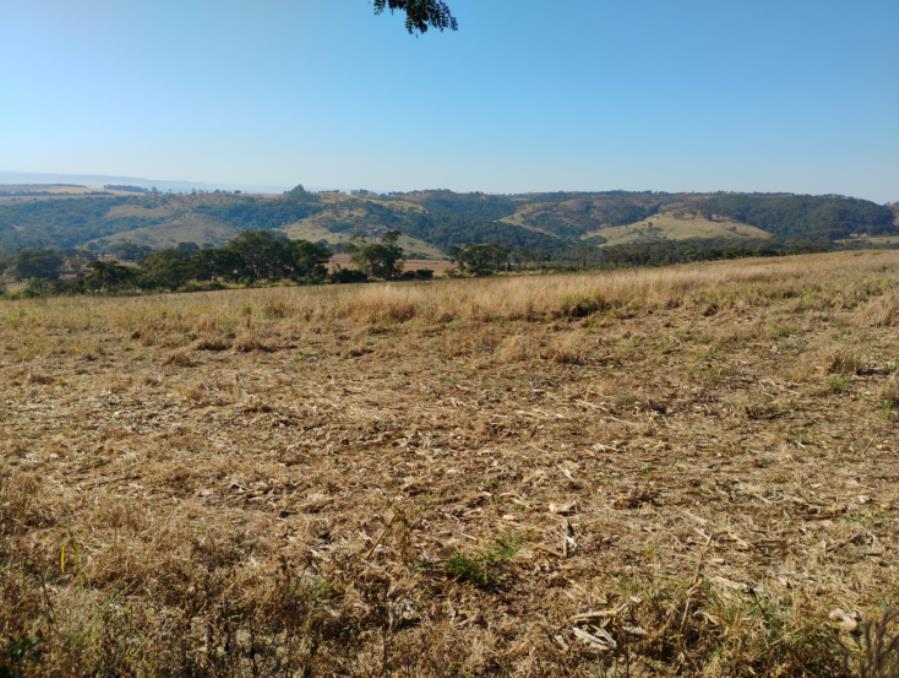 Município de Serra do Salitre/MG - Capim Novo - Rural com área de 36 há Leilão Sicoob, localizado em Serra Do Salitre - MG
