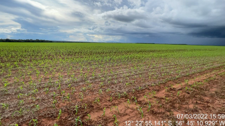Fazenda